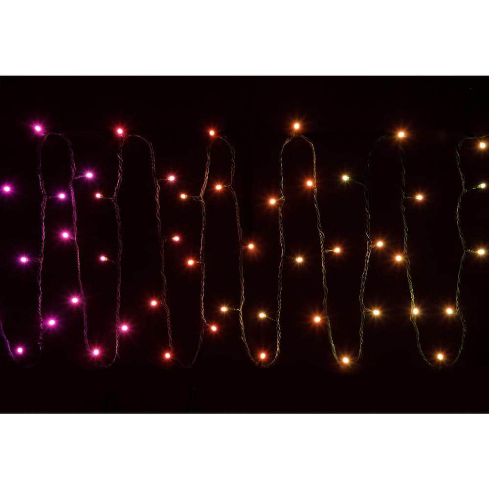 Twinkly App Controlled Wrapped Dome LED Lights, Multi Color (3 Pack)