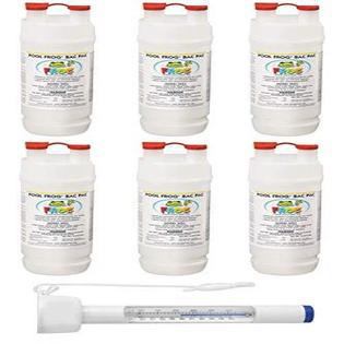 Pool Mineral Purifier Chlorine Bac Pac 6 Pack (Bundled with Pearsons Thermometer)