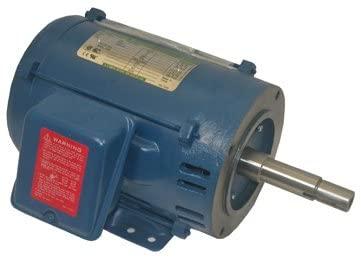 Pentair C218-191 Single Phase Motor Replacement Pool and Spa Commercial Pump, 200-Volt, 60-Hertz