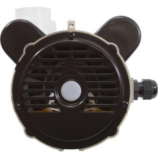Pump, LX 48WUA, 2.0hp, 230v, 2-Spd, 48Fr, 2", SD, Bracketless