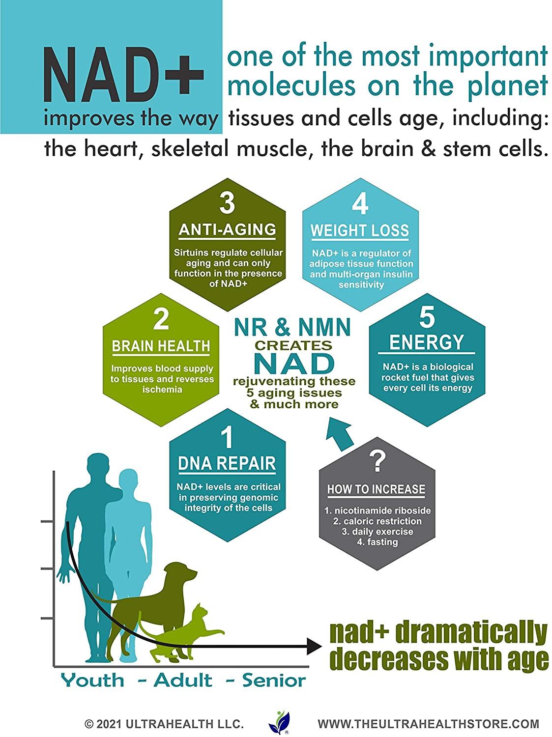 NR 60 (100% RiboGEN™) nicotinamide riboside. Ultra-Pure Pharmaceutical Grade. No additives just 99.5%+ NR. 300mg Veg caps, 60-Day Supply. UltraHealth Posts its COA and HPLC Data no Other Company Does