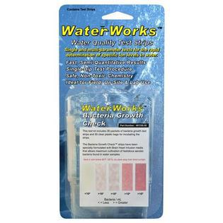 Bacteria Growth Check 30 Foil Packed Test Strips - INCL. 12 PK