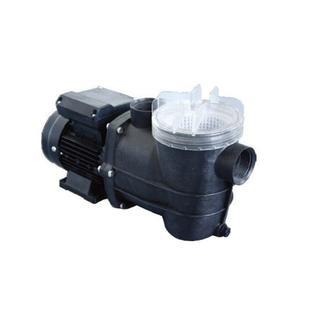 0.33 HP Pump - Pre-Filter