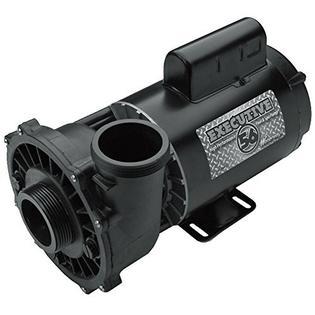 Plastics 3721621-13 Executive 56 Frame 4 hp Spa Pump, 230-volt
