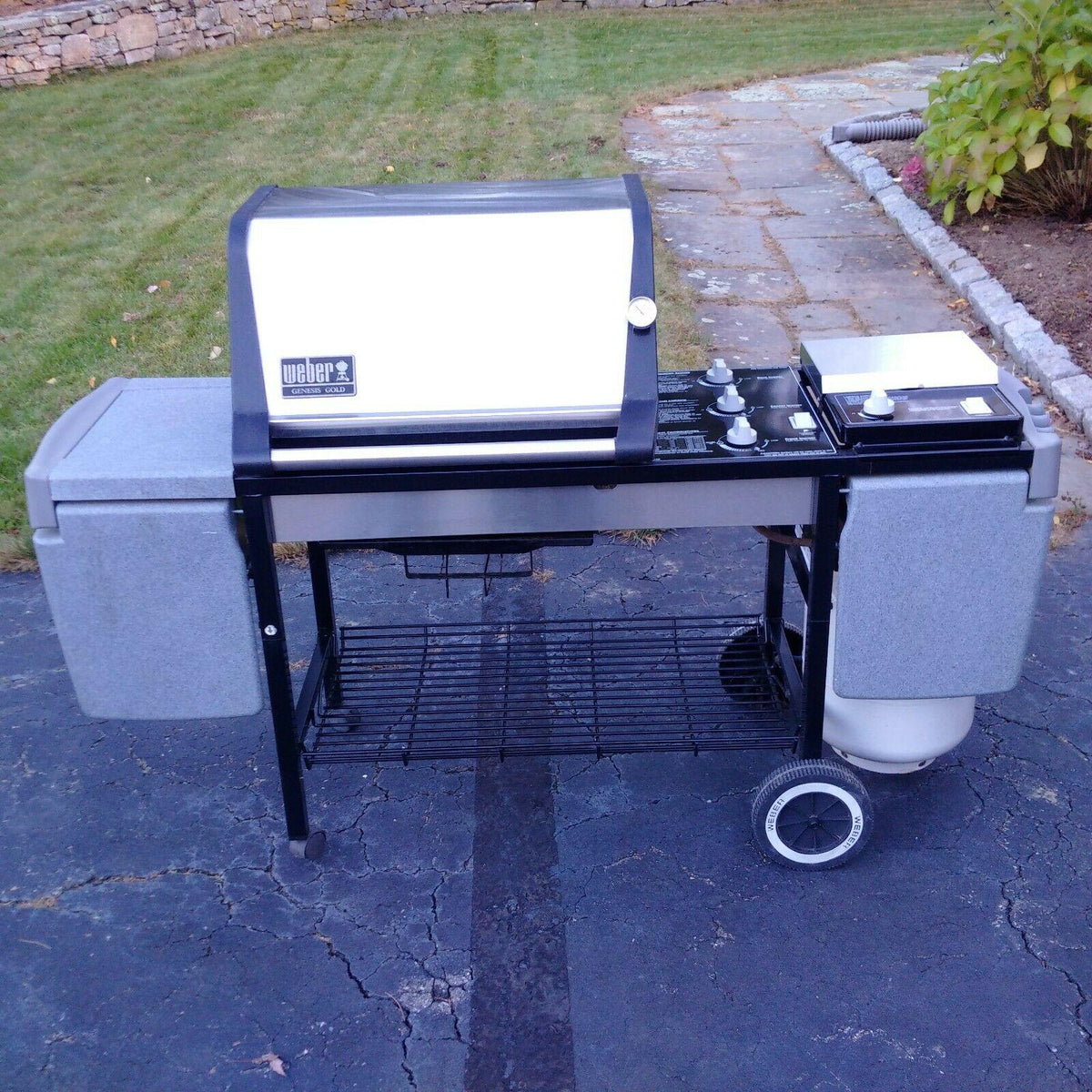 Genesis Gold C LP Gas Grill