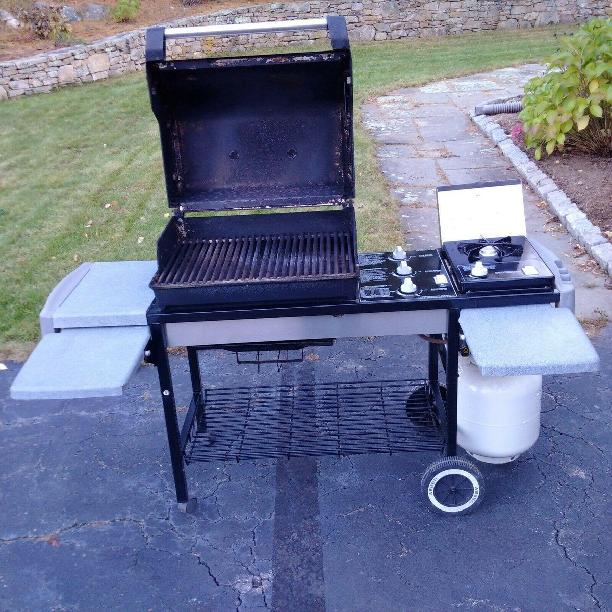 Genesis Gold C LP Gas Grill