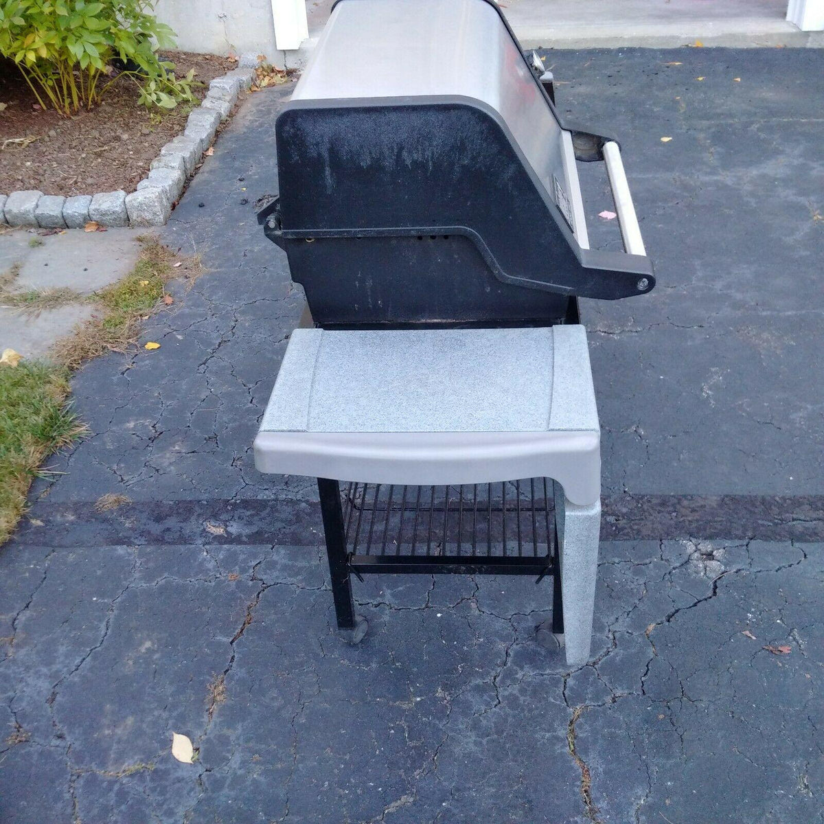 Genesis Gold C LP Gas Grill