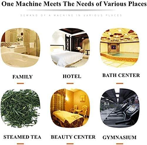 CNWALL 3KW Steam Generator Shower Sauna Bath Home Steam Bath Spa Generator For suitable space heating 3 m³ (3KW)