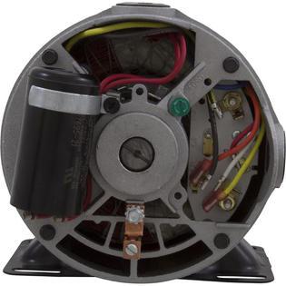 Plastics Motor, Century/WW, 1.5 HP, 115v/230v, 1 Speed, 48 Frame
