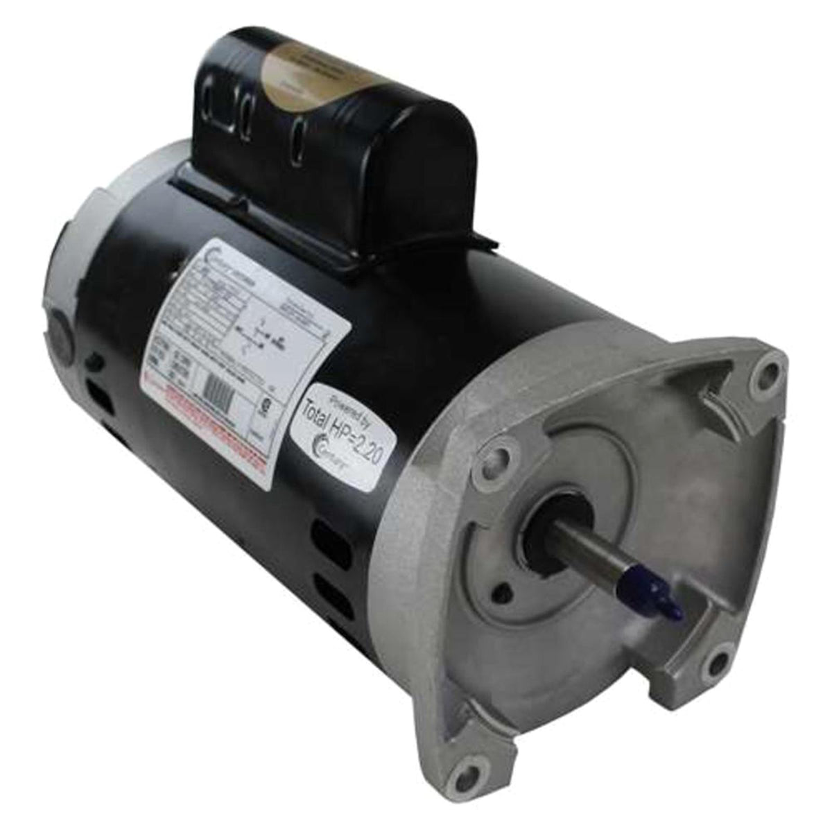 B855 2HP 230V Up-Rated Square Flange Single Speed Motor