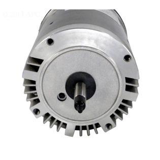 1 HP Silver and Black North Star Pool Pump Motor, 1.85 SF
