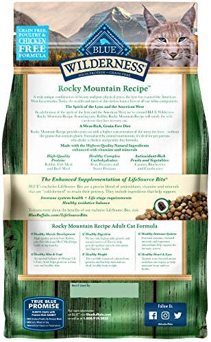 Natural Adult Dry Cat Food,Size:10 Pound (Pack of 1)
