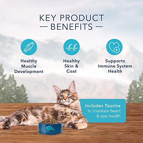Natural Adult Dry Cat Food,Size:10 Pound (Pack of 1)