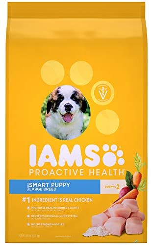 Iams Pack of 2 Proactive Health Smart Puppy Large Breed Dry Puppy Food 15 Pounds