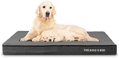 The Dog’s Bed Orthopedic Dog Bed, Large Dog Bed, Extra Large Dog Bed