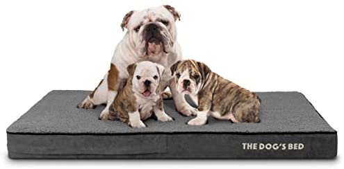 The Dog’s Bed Orthopedic Dog Bed, Large Dog Bed, Extra Large Dog Bed