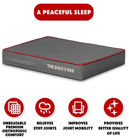 The Dog’s Bed Orthopedic Dog Bed, Large Dog Bed, Extra Large Dog Bed