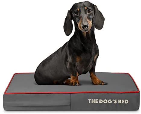 The Dog’s Bed Orthopedic Dog Bed, Large Dog Bed, Extra Large Dog Bed