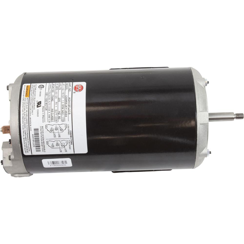 Motor, US Motor, 1.5 Horsepower, ThruBolt, 2-Speed, 230v, 48Y