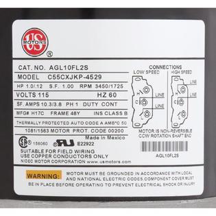 Motor Corp Motor, , 1.0 Horsepower, ThruBolt, 2-Speed, 115v, 48Y