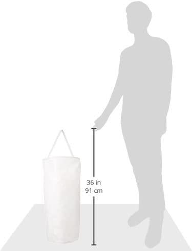 Pentair 25005-0015 Bag Replacement Sta-Rite Pool and Spa Separation Tank Assembly