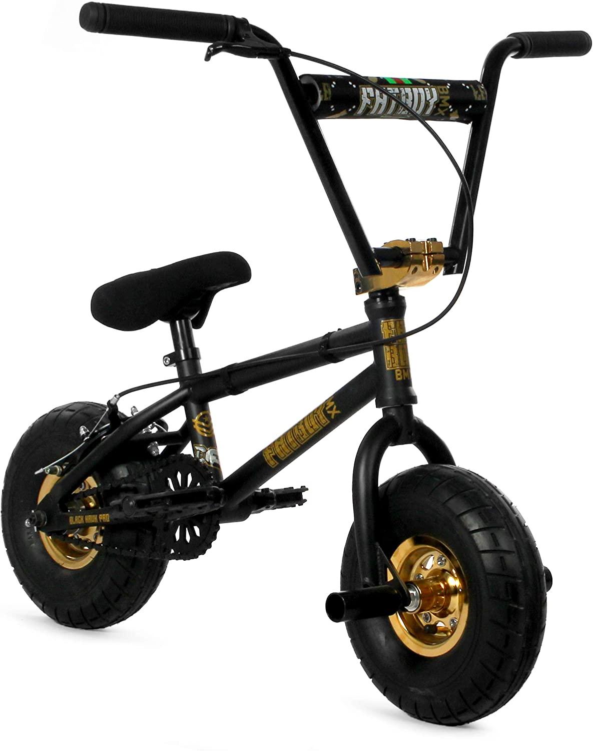 New 2021 Fatboy Pro X Mini BMX Bike