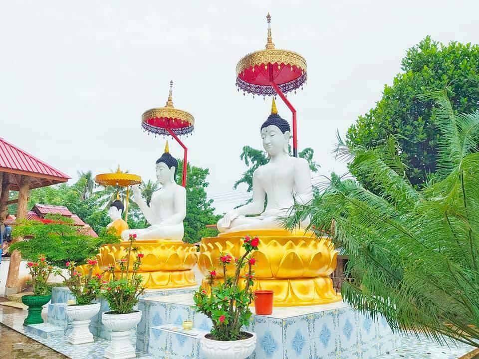 Buddhist Hindu Chatra Parosol Umbrella over Divine Royalty, #02017, many sizes
