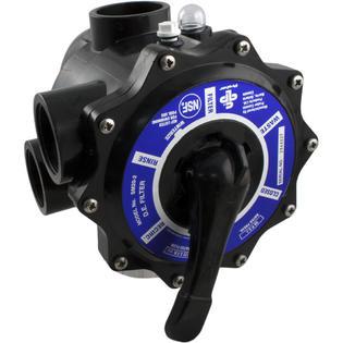 Multiport Valve, Praher SM2-SE2, 2", w/StaRite Plumbing, Blk