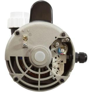 Pump, LX 56WUA, 4.0hp, 230v, 1-Spd, 56Fr, 2", SD, Bracketless