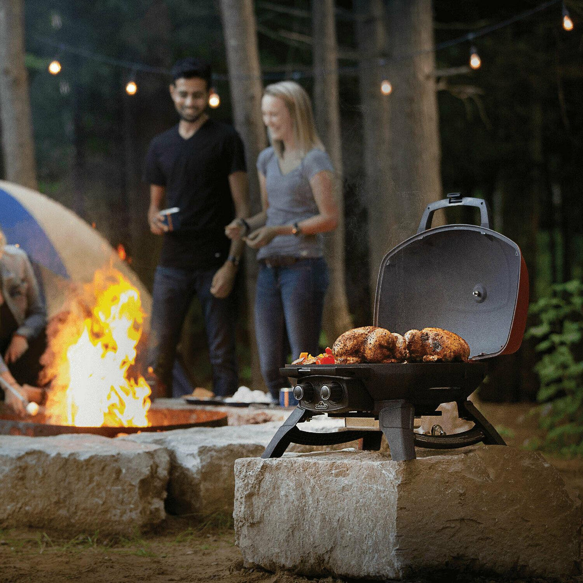 Napoleon TQ285-BL TravelQ Portable Propane Gas Tabletop Grill,