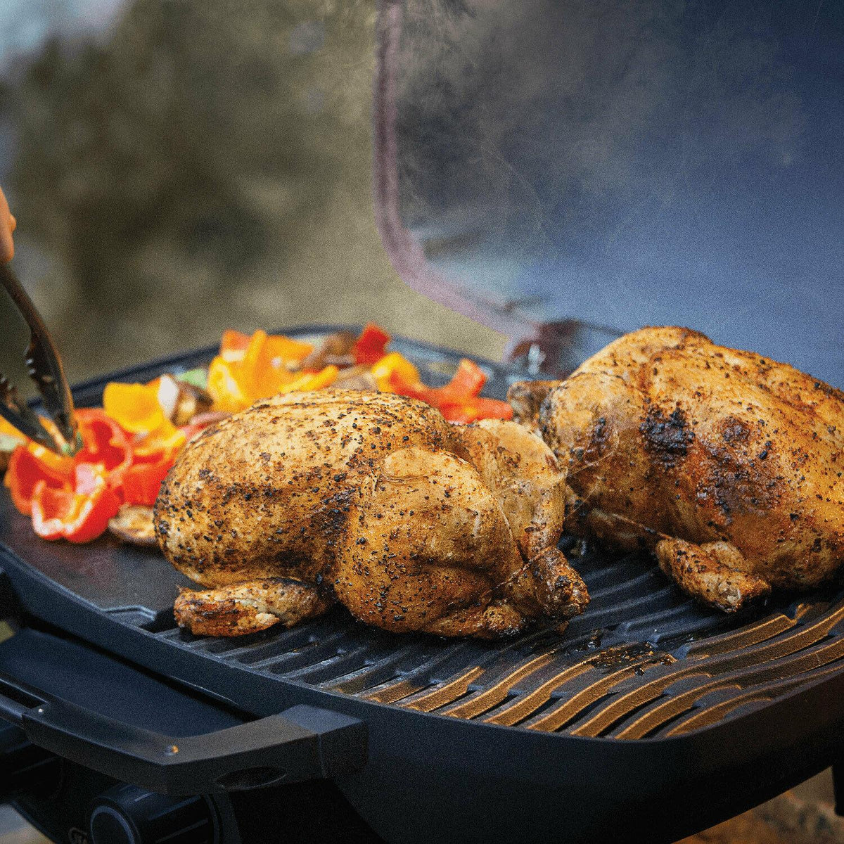 Napoleon TQ285-BL TravelQ Portable Propane Gas Tabletop Grill,