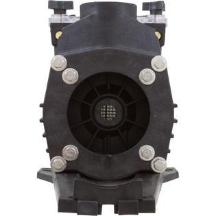 Wet End, PEMS, AT Series Pumps, Less Impeller
