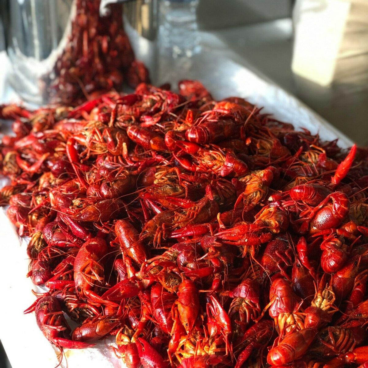 Creole Feast 90 Qt. Crawfish-Seafood Jet Burner Boiler & Fryer Combo CFT2018