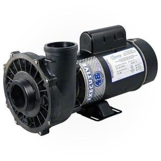 Plastics Pump, WW Exec, 3.0SPL, 230v, 2-Spd, 48fr, 2", OEM