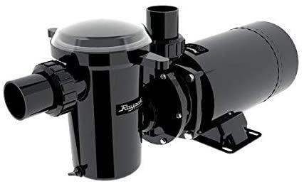 Raypak Protege 1 Horsepower Aboveground Pool Pump - 2 Speed