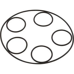 In-Floor Caretaker Valve, Zodiac