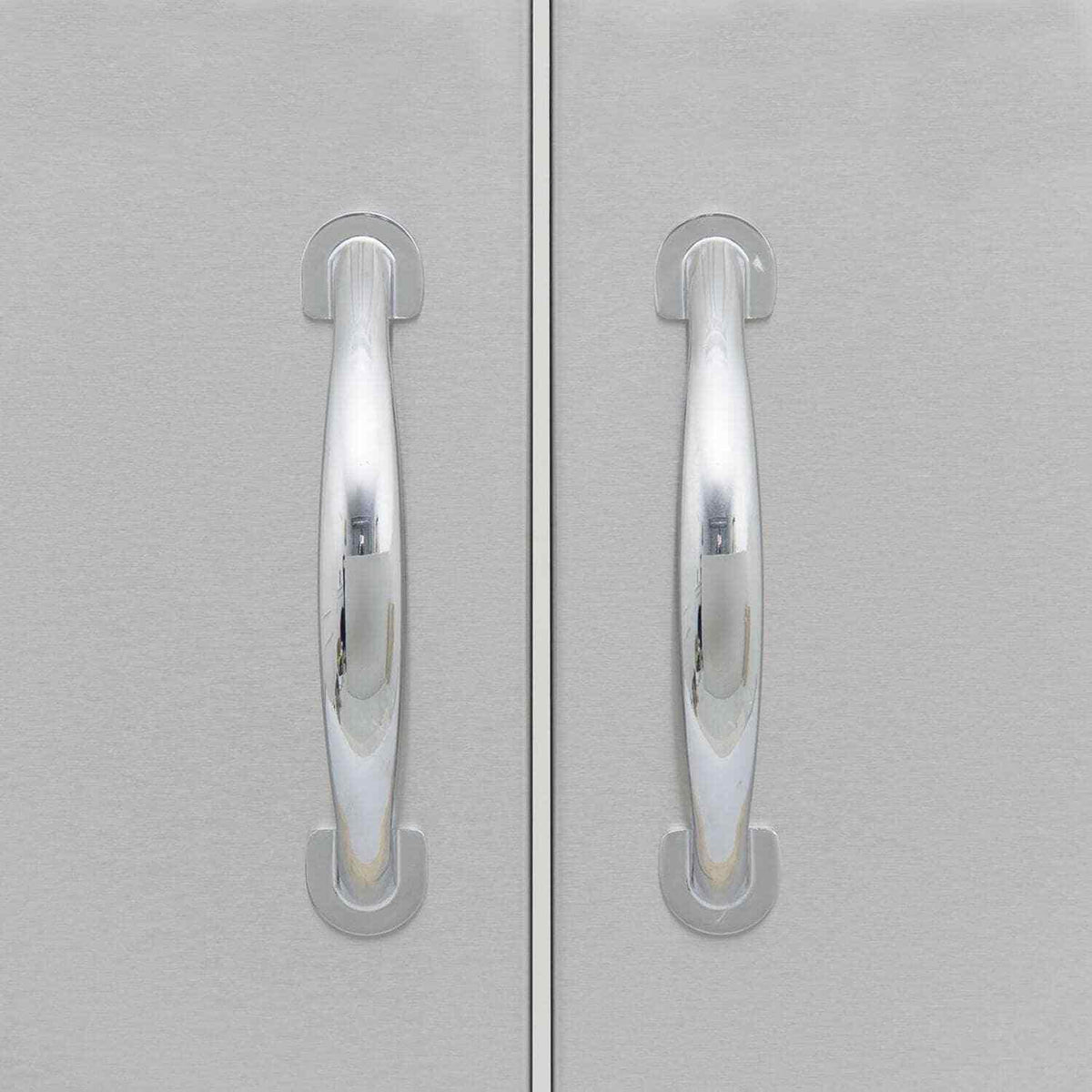 Blaze 32-inch Stainless Steel Double Access Door With Paper Towel Holder