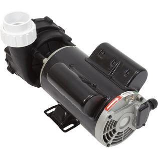 Pump, LX 48WUA, 1.0hp, 115v, 2-Spd, 48Fr, 2"