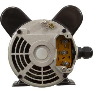 Pump, LX 48WUA, 1.0hp, 115v, 2-Spd, 48Fr, 2"