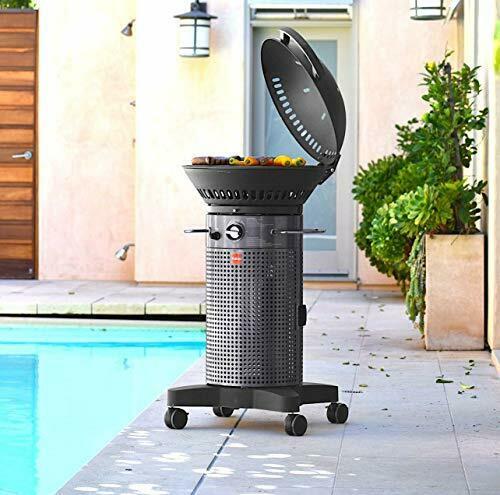 F21C-H Hinged Propane Gas Grill Dark Gray