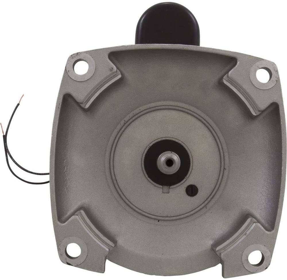 Hayward SPX3220Z1BER 2-Horsepower Energy Efficient Full Rate Motor Replacement for Hayward Tristar SP3200EE Series Pump