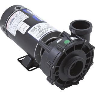 Plastics Pump, WW Ex2, 2.0hp, 230v, 2-Speed, 48fr, 10.5A, 2", OEM