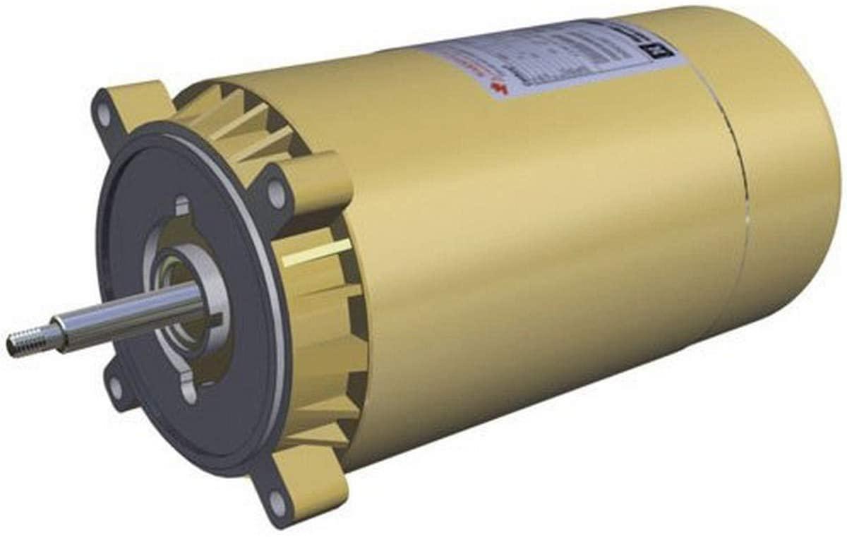 Hayward SP1610Z1MBKMaxrate Motor Replacement for Select Hayward Pumps, 1.5 HP