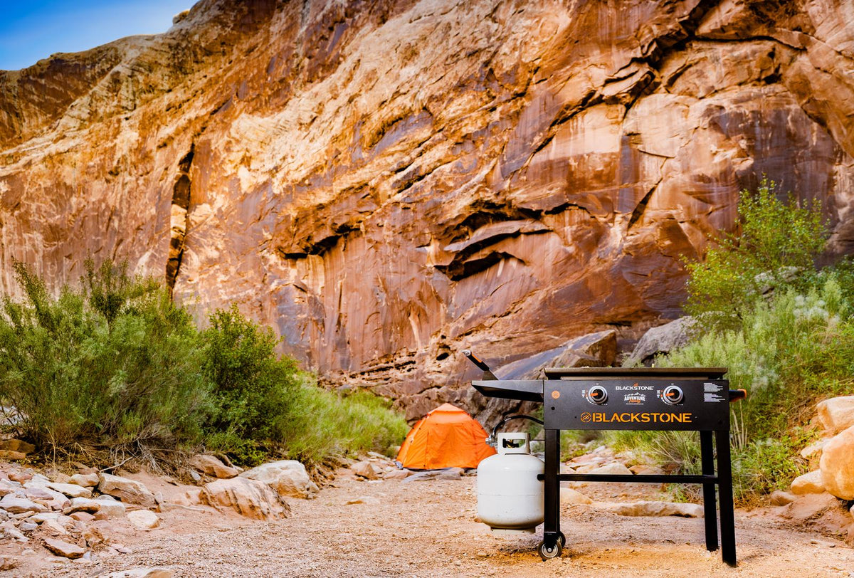 Blackstone Griddle Portable Gas Grill 28 Inch 2 Burner BBQ Cooking Outdoor