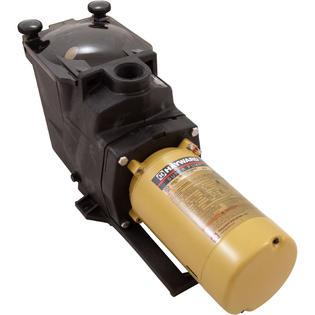 Pump, Super Pump, 1.5hp, 115/230v, 1.5"