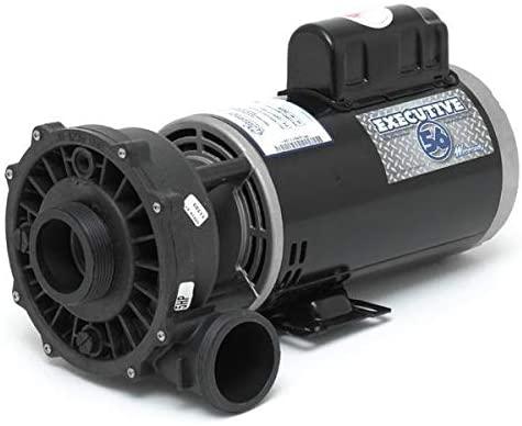 Waterway Plastics 3722021-1D Executive 56 Frame 5 Horsepower Spa Pump, 230-Volts