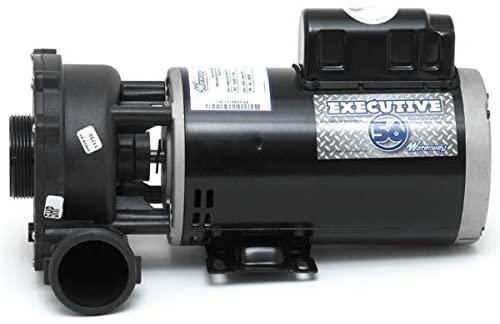 Waterway Plastics 3722021-1D Executive 56 Frame 5 Horsepower Spa Pump, 230-Volts