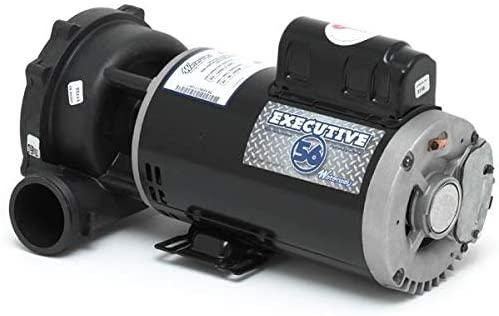 Waterway Plastics 3722021-1D Executive 56 Frame 5 Horsepower Spa Pump, 230-Volts
