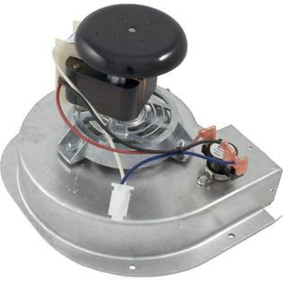 Blower, Above Ground, 115v