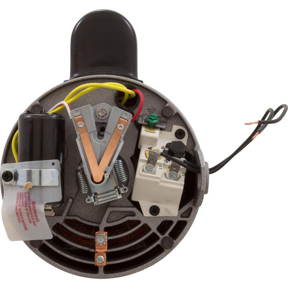 Motor, TriStar, 0.5hp, 115v/208-230v, SQFL, Full Rate, EE